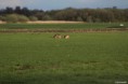 /album/kop-van-overijssel/img-0364-2-jpg/